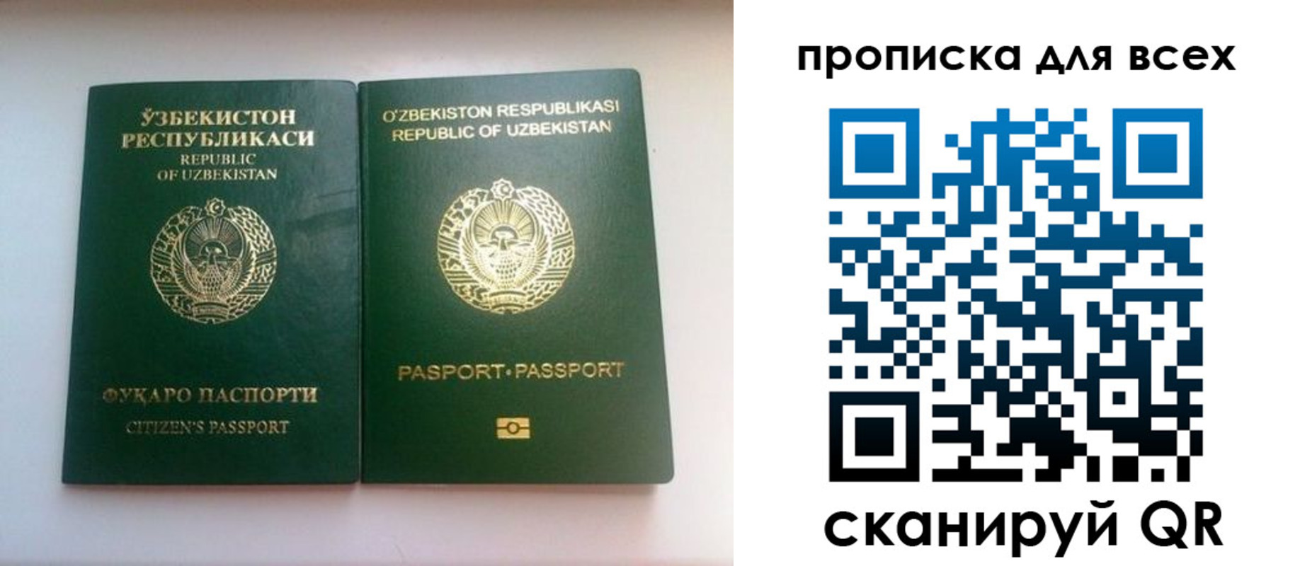 прописка для школы в Тайшете